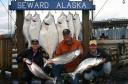 Alaska Chinook Fishing Seward logo